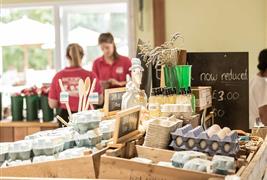 Rectory Farm Shop and Pyo
