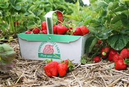 Essington Fruit Farm Shop