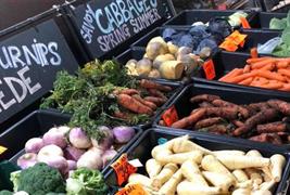 Lesters Farm Shop