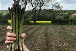 Smiths Farm Shop