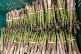 Algys Farm Shop