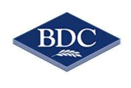 BDC Systems Ltd
