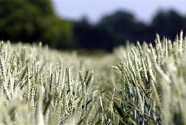 Rothamsted Conference Centre