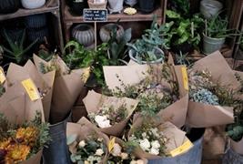 Cowdray Farm Shop