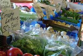 Woodcock Farm Shop