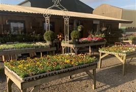 Willow Farm Shop