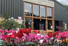 Rough Hill Farm Shop
