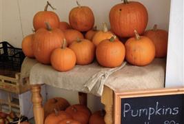Spinney Farm