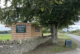 Fir Farm