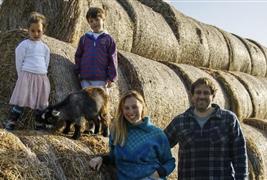 Farm Ness