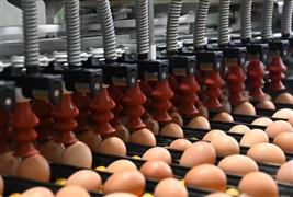 Chippindale Foods