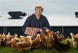 Chippindale Foods