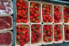 Hilltop Farm Shop