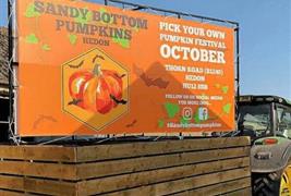 Sandy Bottom Pumpkins