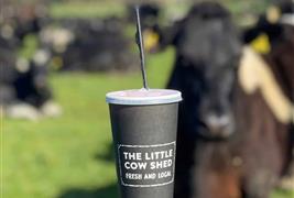 The Little Cow Shed