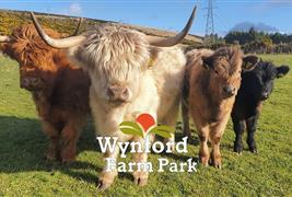 Wynford Farm Park