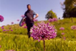 The Flower Field