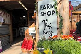 Old Oaks Farm