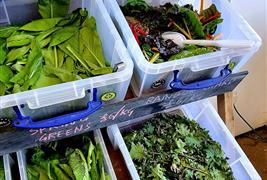 Bosavern Community Farm