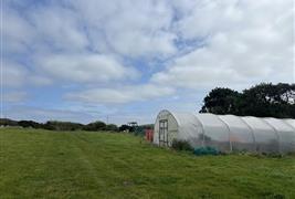 Bosavern Community Farm