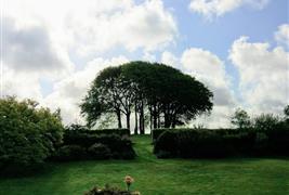 Coombeshead Farm