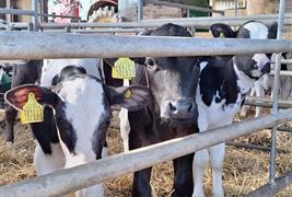 Treleague Dairy