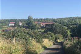 Dalton Moor Farm - Vegan Fruit Farm and School of Sustainable Living & Wellbeing