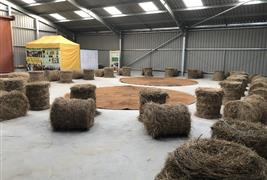 Dalton Moor Farm - Vegan Fruit Farm and School of Sustainable Living & Wellbeing