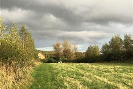 Dalton Moor Farm - Vegan Fruit Farm and School of Sustainable Living & Wellbeing