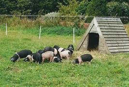 Wrefords Farm FB Wreford &Co