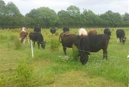 Wrefords Farm FB Wreford &Co