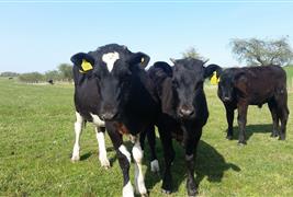 Wrefords Farm FB Wreford &Co