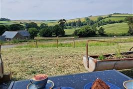 Daynes Farm Shop