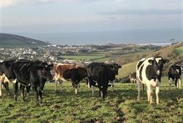 Milk's Up!