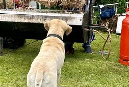 Candy's Farm Shop and Butchery