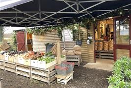 Cherry Gardens Farm