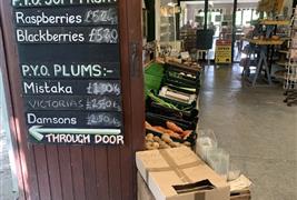 Park Fruit Farm