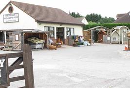 Tom's Farm Shop