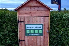 Terane Paddock