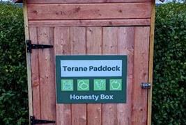 Terane Paddock