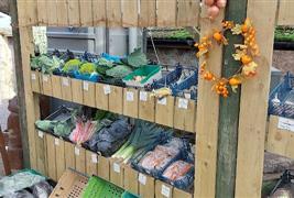 Pittormie Fruit Farm