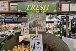 Bloom & Veg