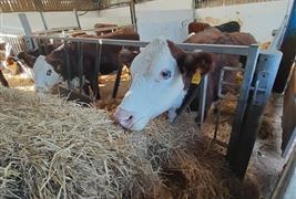Wythenshawe Community Farm & Shop