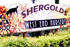 Shergolds