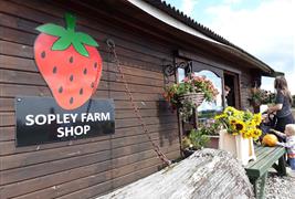Sopley Farm Shop & Bakery - Dan Tanner's