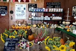 Sopley Farm Shop & Bakery - Dan Tanner's