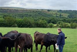 The Green Cow Farm Shop