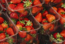 Myatts of Mockbeggar Farm Shop