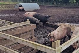 The Meadows Farm Shop