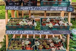 5 Acre Farm shop
